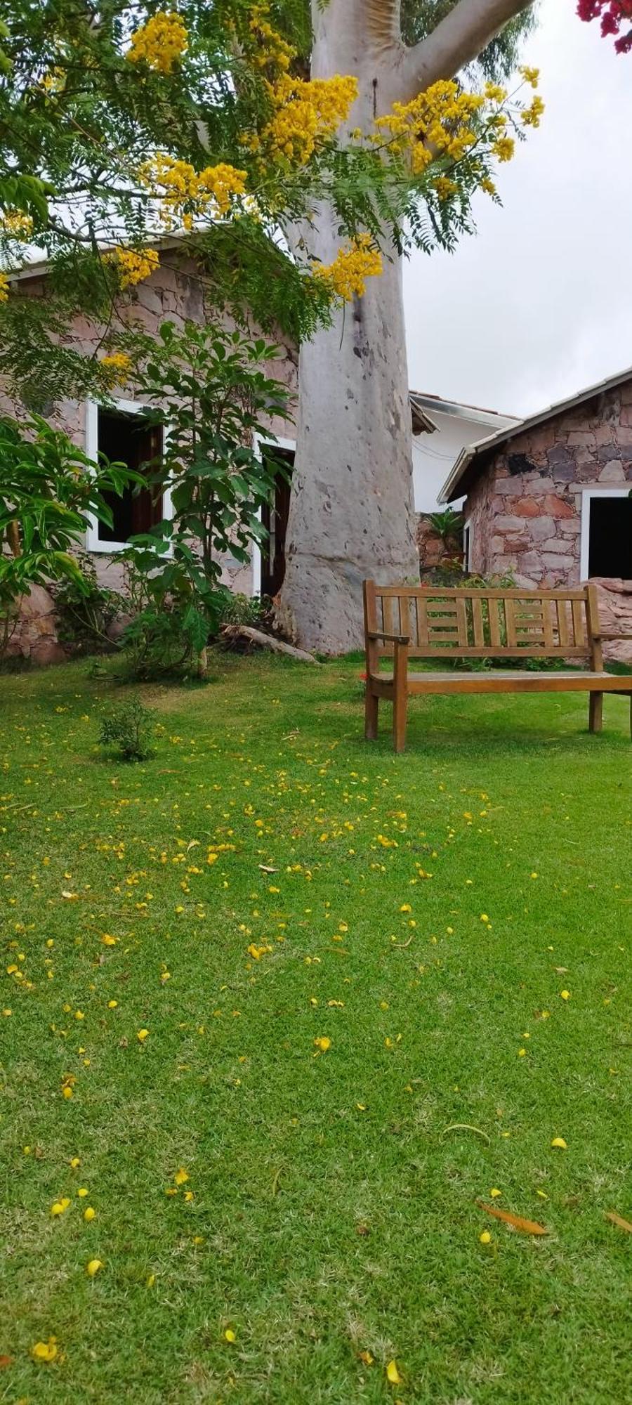 Oforasteiro Villa Mucugê Eksteriør bilde