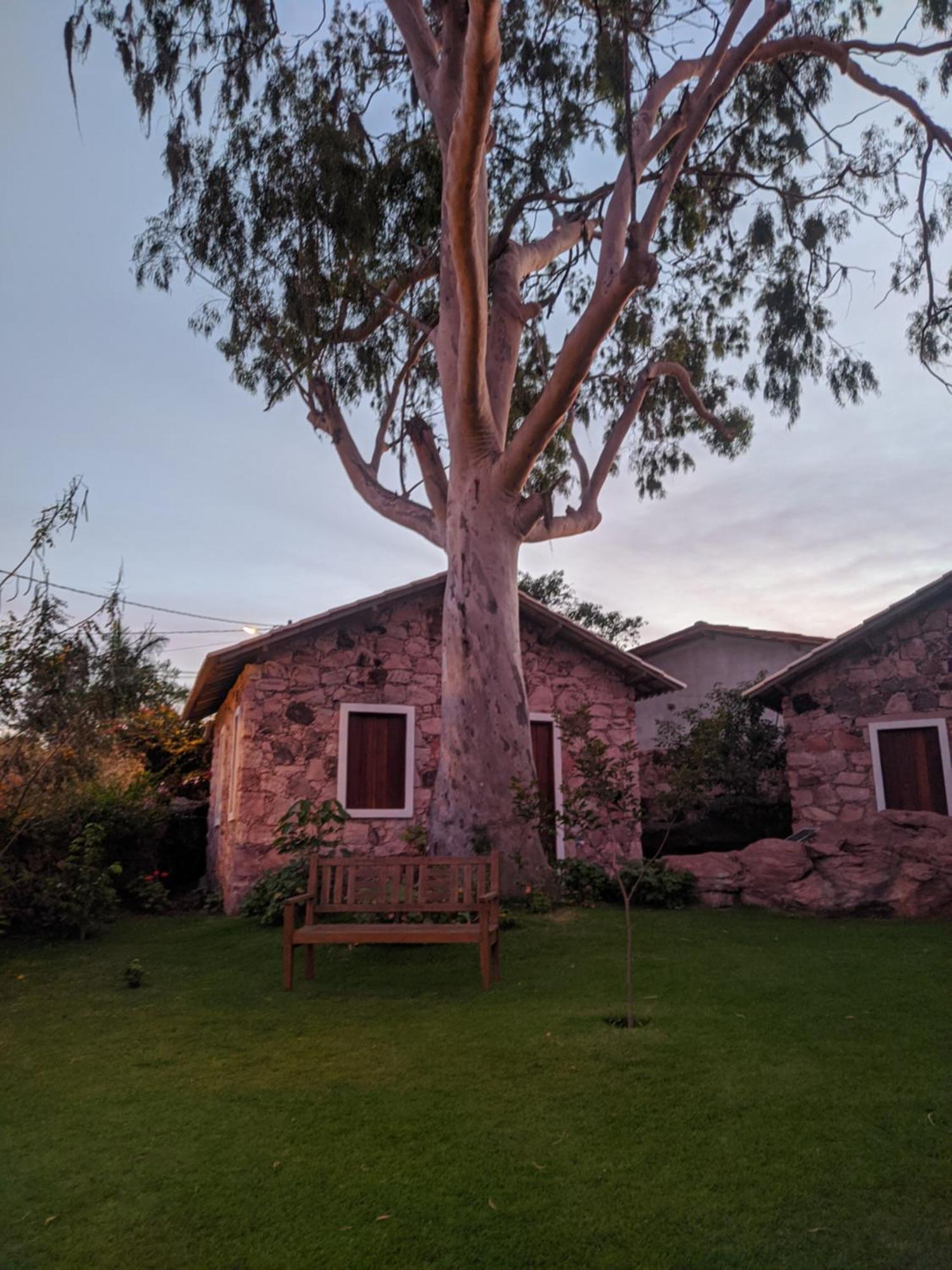 Oforasteiro Villa Mucugê Rom bilde